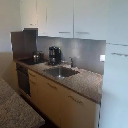 Pet-friendly With Mountain Views Lejlighed *